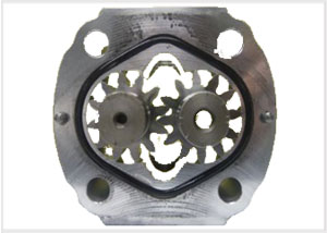 Gear Pumps