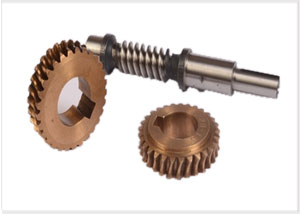 Worm Gearsr